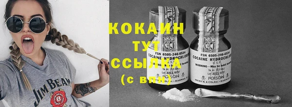 гидра Карпинск