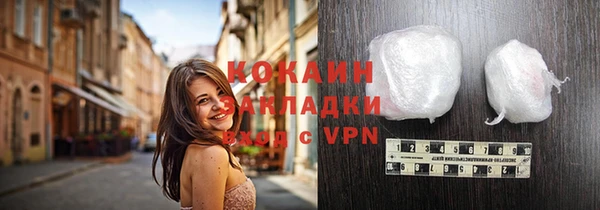 гидра Карпинск