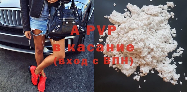 гидра Карпинск