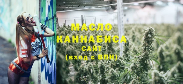 гидра Карпинск