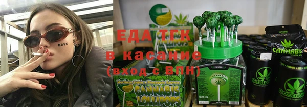 гидра Карпинск