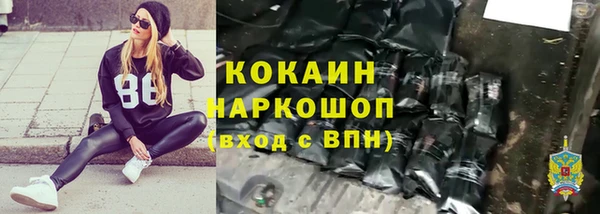 кокс Касимов