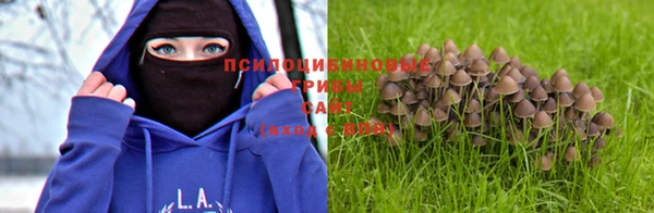 альфа пвп Карталы
